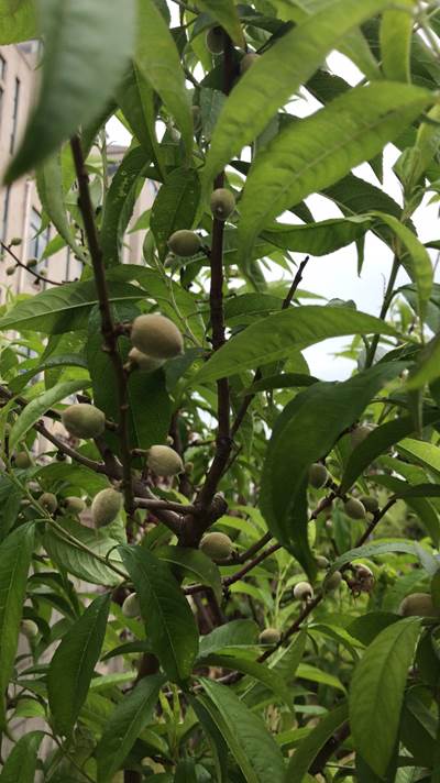 3ba5c1e82a967d56535aefa8c1b389f